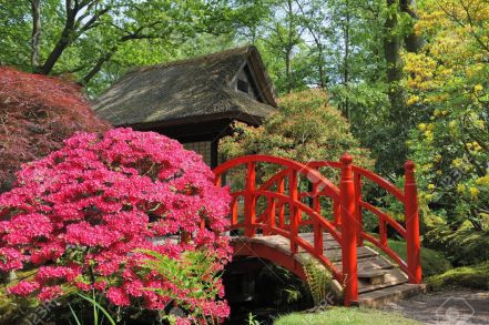 4855050-japanese-garden-with-flowers-and-red-bridge-stock-photo-landscape